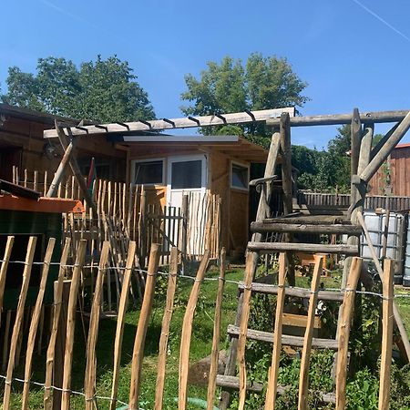 Blockhausvermietung "Vor Dem Groeperntor" เควดลินบวร์ก ภายนอก รูปภาพ