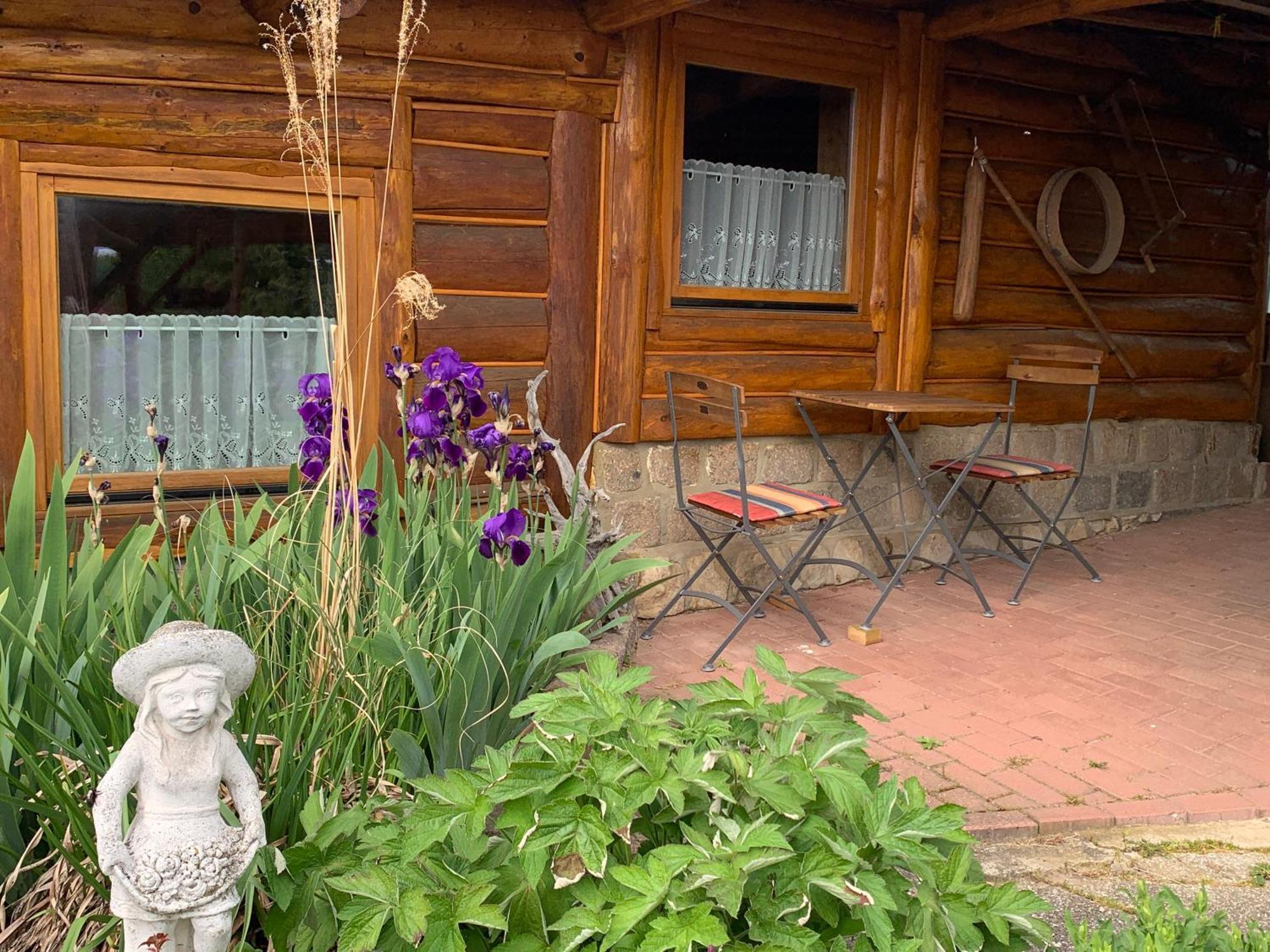 Blockhausvermietung "Vor Dem Groeperntor" เควดลินบวร์ก ภายนอก รูปภาพ