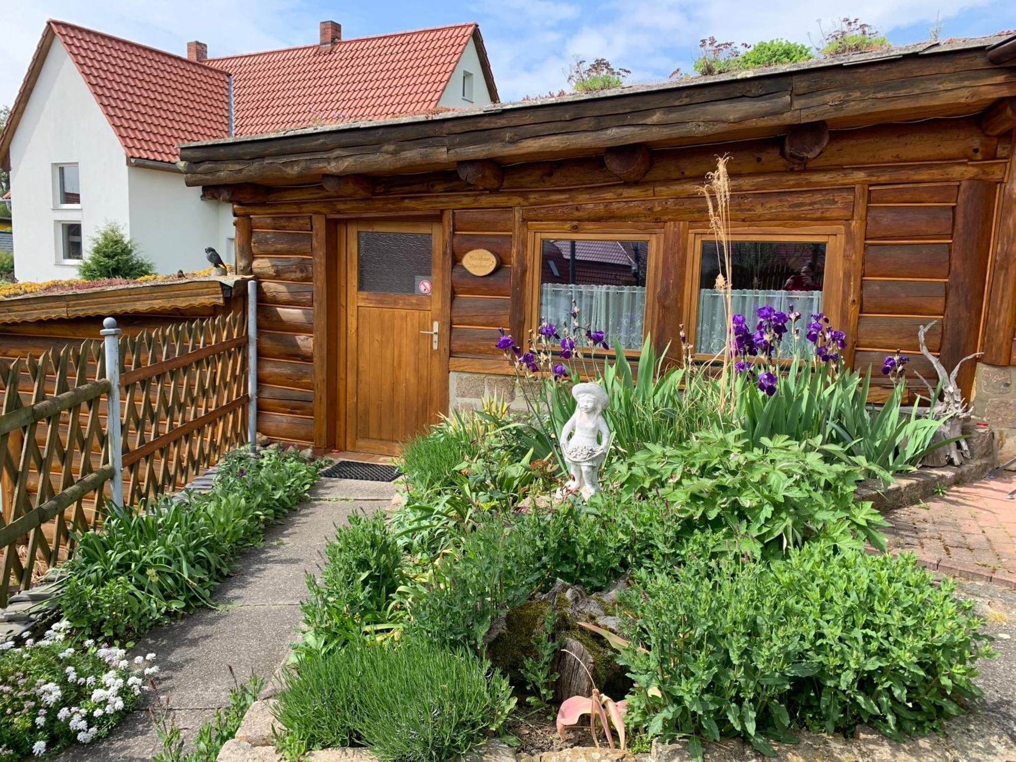 Blockhausvermietung "Vor Dem Groeperntor" เควดลินบวร์ก ภายนอก รูปภาพ